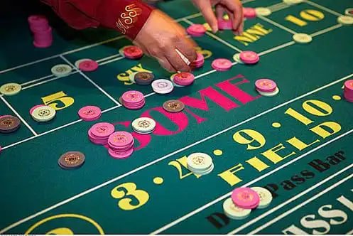 zc444 Live Casino